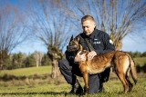 Poznaj Frajdę - nowego psa w poznańskiej policji i przewodnika Mateusza Kowalczyka