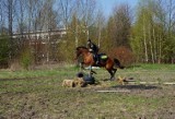 Chorzów: Policja konna przeegzaminowała nowych jeźdźców. Skakali przez ogień [ZDJĘCIA]