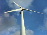 Elektrownia pod Wyszkowem - w Łosinnie ma powstać pięć elektrowni wiatrowych
