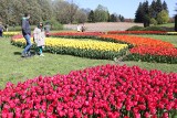 Po zimowej przerwie otwiera się Ogród Botaniczny w Łodzi. Od 1 kwietnia będzie czynny codziennie 