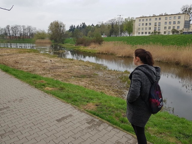 W fazie początkowej są przygotowania do zagospodarowania terenów nad Strugą Toruńską od Kaszownika do ulicy Batorego