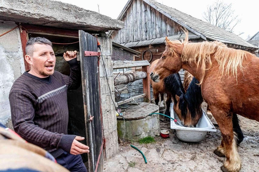 Rolnicy. Podlasie. Siew kukurydzy u Gienka i Andrzeja z Plutycz. W akcji sprzęt za pół miliona złotych [ZDJĘCIA, WIDEO]