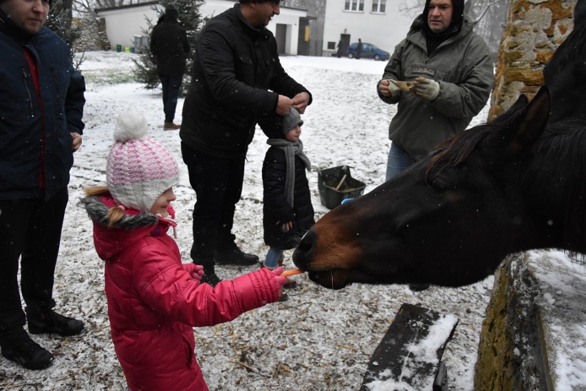 Chrzanów. Rodziny z dziećmi odwiedzają żywą szopkę w Kościelcu [ZDJĘCIA]