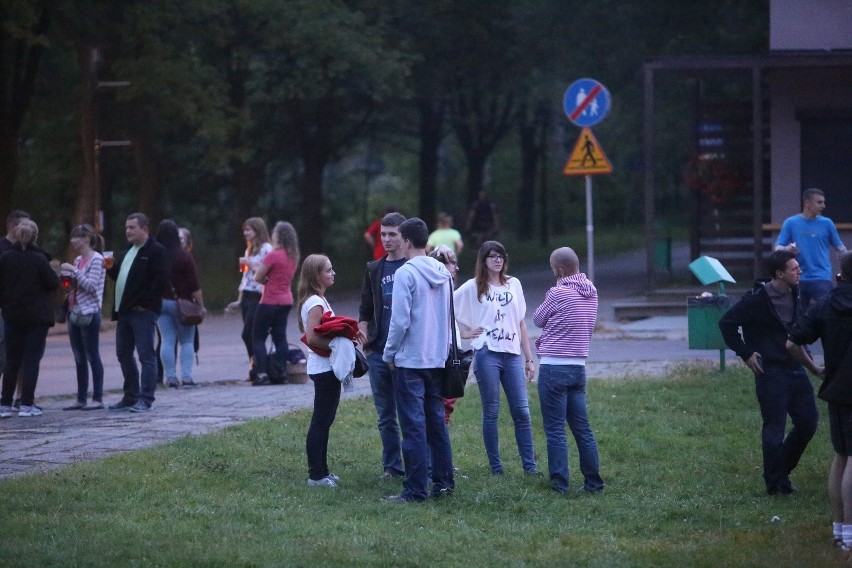 Letnie kino plenerowe przed Śląskim Ogrodem Zoologicznym [ZDJĘCIA]