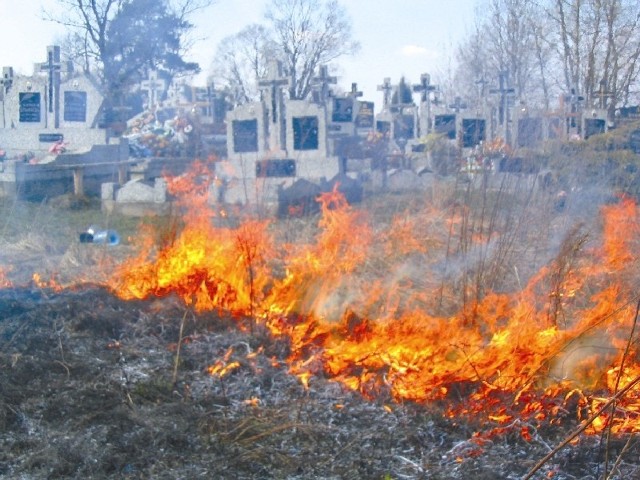 Wiosenne wypalanie traw może zakończyć się niekontrolowanym rozprzestrzenieniem się ognia