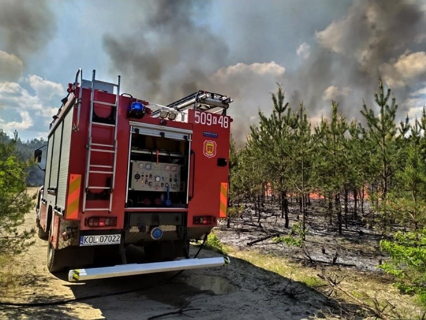 Jeden z największych pożarów w powiecie olkuskim w 2021 r....