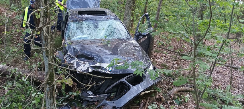Kierowca bmw wjechał 150 metrów w las. Był pijany i "ściął" kilka drzew. ZDJĘCIA