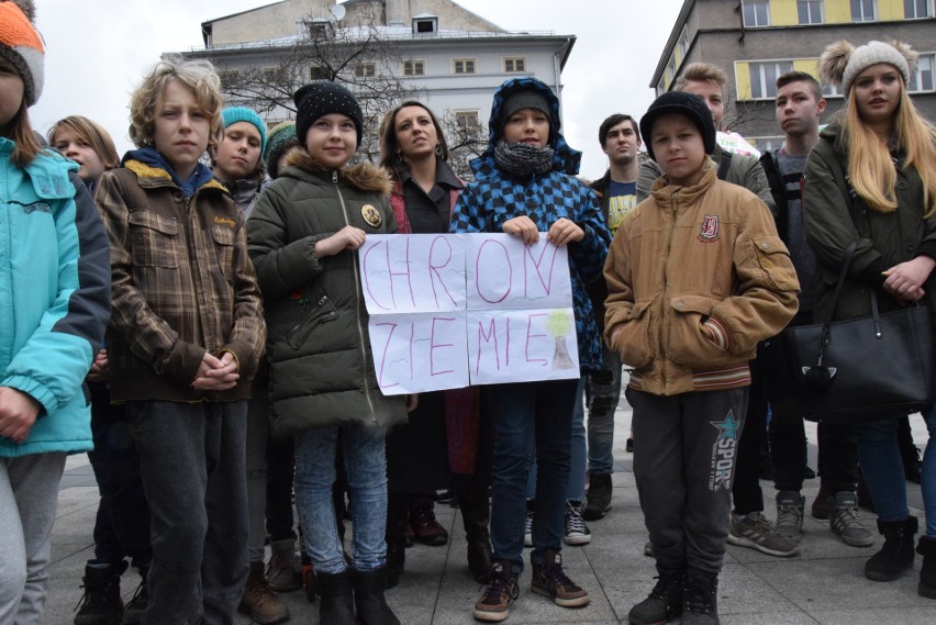 Strajk klimatyczny w Bielsku-Białej. Młodzież domagała się natychmiastowych działań ZDJĘCIA
