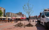 Bytomski Rynek się zazielenia. Długo wyczekiwane prace w tym miejscu się rozpoczęły