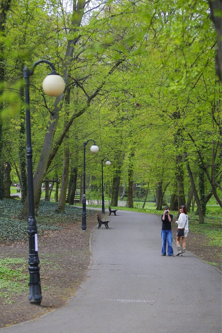 Park Sołacki w Poznaniu