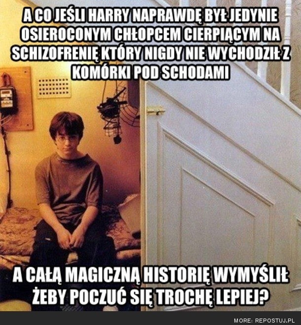 Harry Potter i memy. Zobacz śmieszne memy o Harrym Potterze [ZOBACZ MEMY]