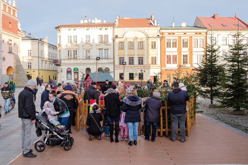 Mikołajkowy szał w Tarnowie [ZDJĘCIA]               