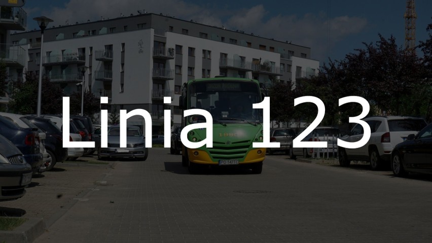 Linia nr 123 zapewniłaby połączenie rejonu pętli autobusowej...