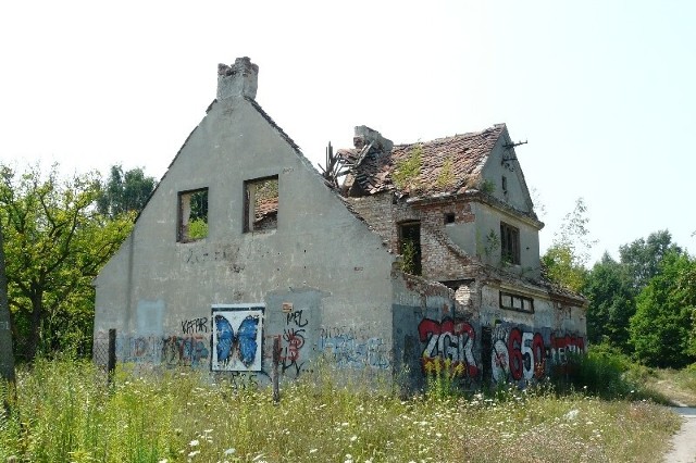 Obok ruin dawnej poczekalni i przez gęste zarośla muszą chodzić pasażerowie wysiadający na dworcu Zgierz Północ.