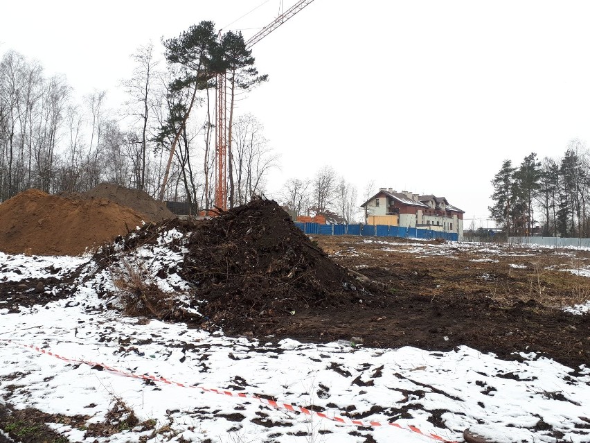 Budowa osiedli przy lesie Borkowskim