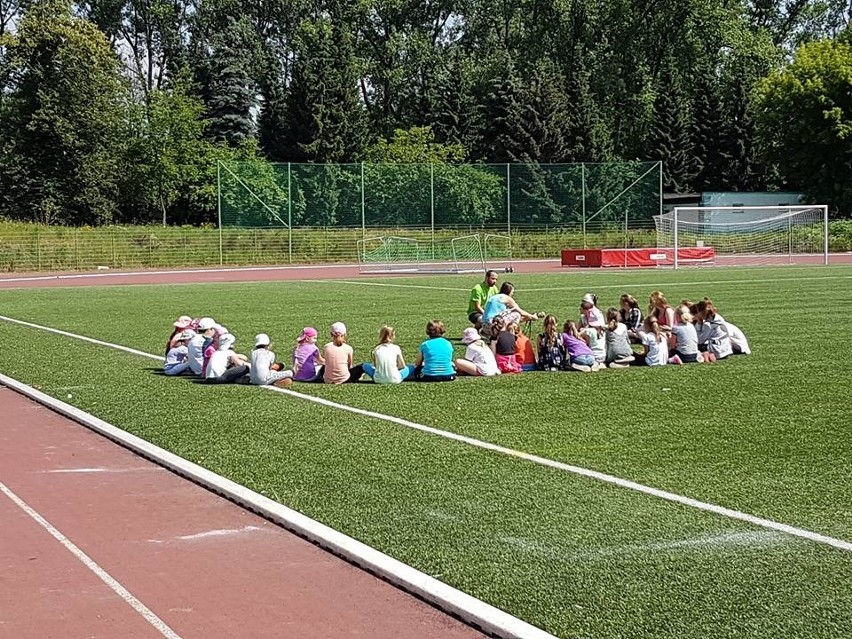 Zajęcia sportowe na Stadionie Śląskim