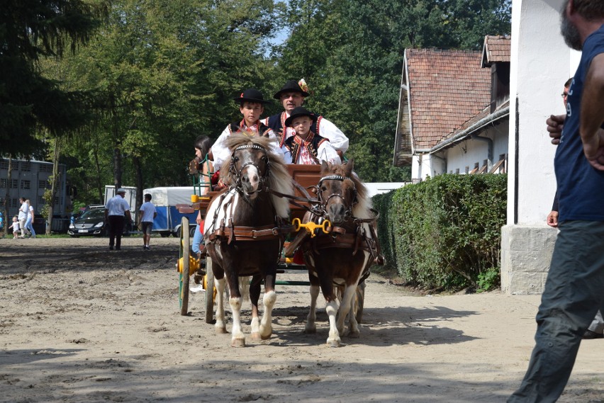 Tegoroczna Klikowska Parada Konna była wyjątkowa [ZDJĘCIA]