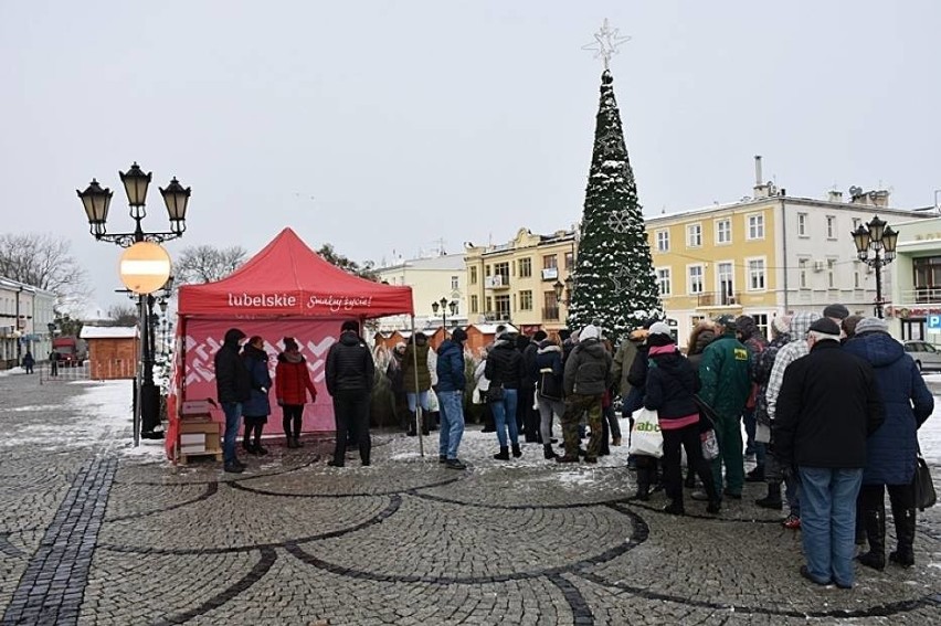 Darmowe choinki w Chełmie, a w sobotę w Lublinie, Białej Podlaskiej i Zamościu. Zobacz zdjęcia 