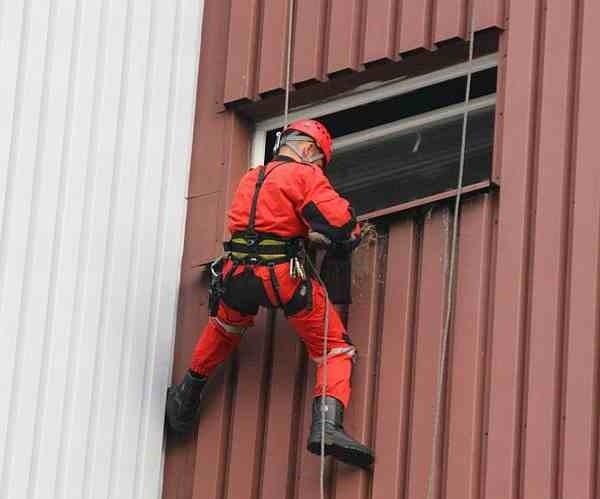 Strażacy ratowali jaskółkę w Opolu