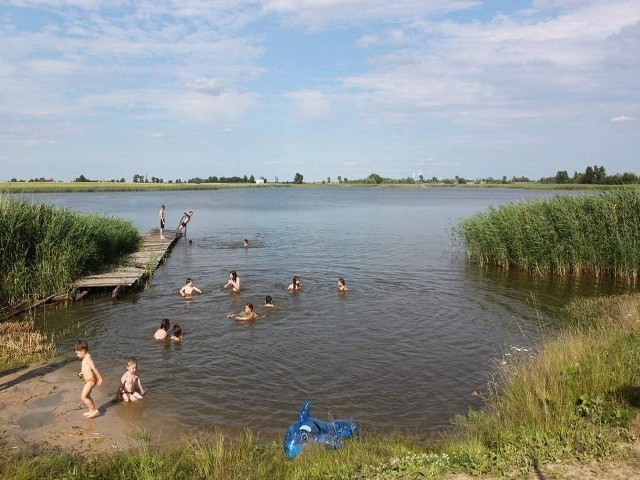 Państwowy Powiatowy Inspektor Sanitarny w Aleksandrowie Kujawskim wprowadził tymczasowy zakaz kąpieli w jeziorze w Ostrowąsie