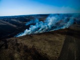 Groźne pożary traw w Sąspowie i Brzesku, dwie osoby poszkodowane w Makowicy. Apele nie pomagają [ZDJECIA]