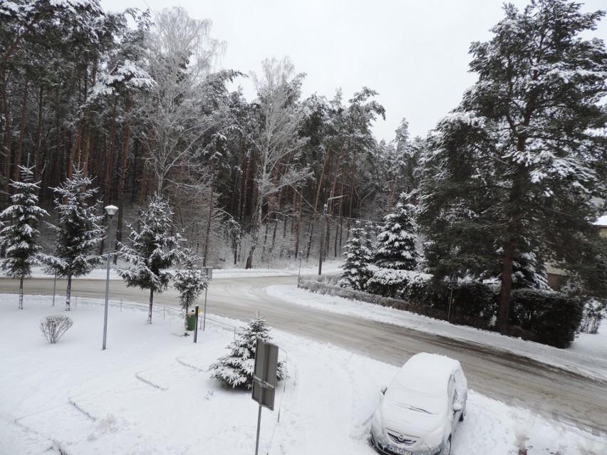 Do nadbużańskich gmin wróciła zima. 26.01.2021. Zdjęcia