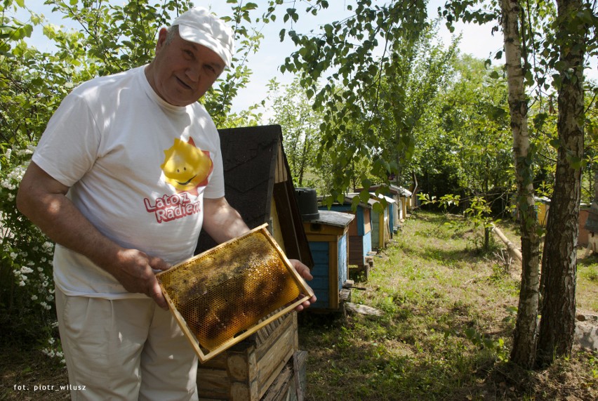 Kiedyś dyrektor, dziś zapalony pszczelarz.