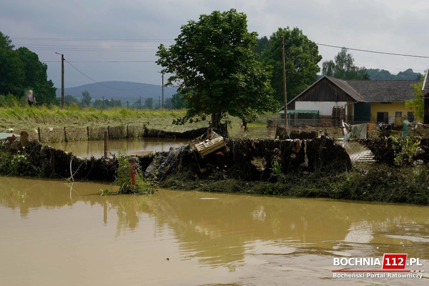 Nocna ulewa wyrządziła ogromne straty w kilku małopolskich gminach. Łapanów znowu znalazł się pod wodą 