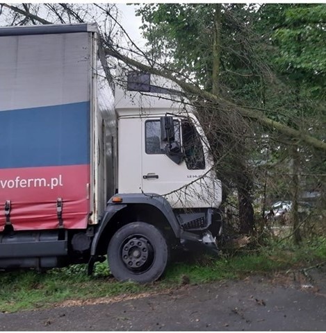 Samochód ciężarowy wypadł na łuku drogi i uderzył w drzewo w Witanowicach. Na szczęście nie ma rannych [ZDJĘCIA]