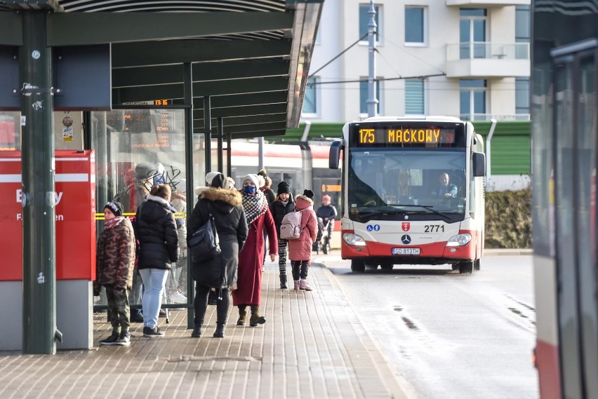 Trzy prawdy transportu publicznego w Gdańsku. Przewoźnik,...