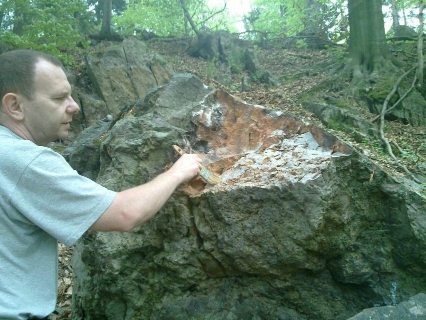 Odkrycie sprzed 410 milionów lat pod Kielcami