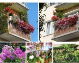 Najpiękniejsze ogrody i balkony w Gorzowie. Które zdobędą główne nagrody? [ZDJĘCIA]