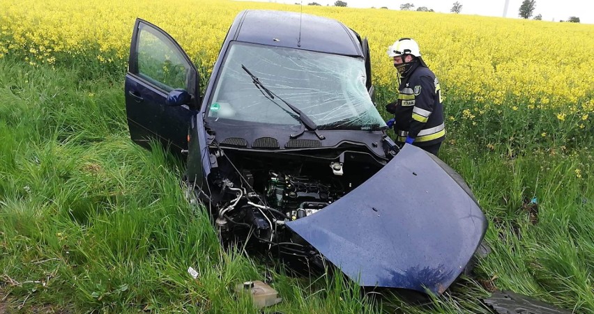 Wypadek koło Karlina. Auto uderzyło w drzewo [zdjęcia]