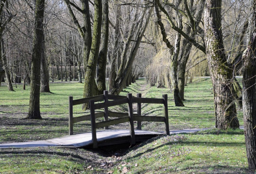 Koronawirus opustoszył alejki w inowrocławskim Parku...