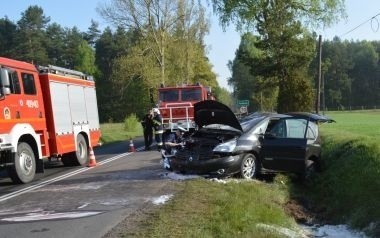 Śmiertelny wypadek koło Bełchatowa. Nie żyje kierowca renault, który uderzył w drzewo