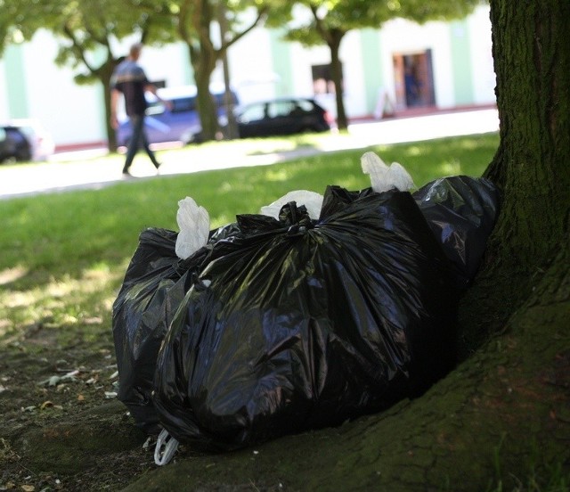 Śmieci zalegające w parku na placu Broniewskiego. 