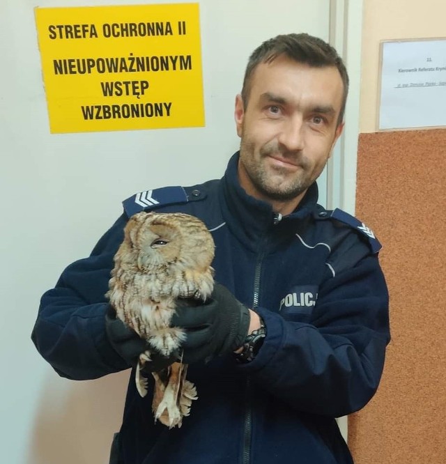 Policjanci z Libiąża uratowali ranną sowę