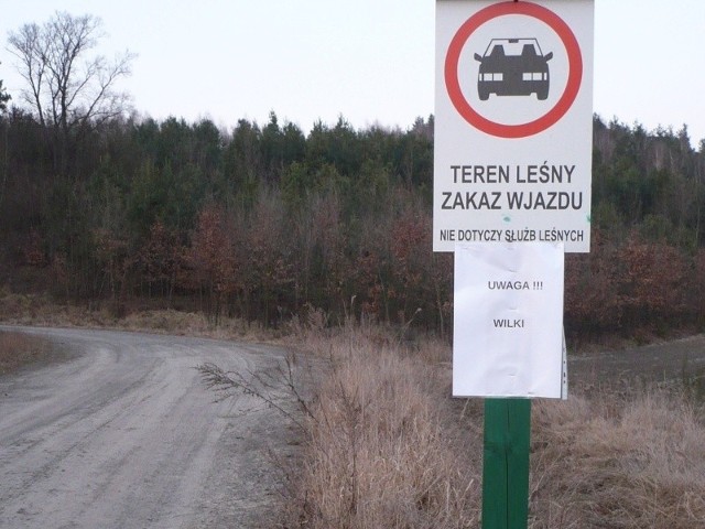 Przy wjazdach do lasu ustawiono tablice ostrzegawcze o wilkach
