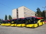 Oświęcim. Kolejnych pięć nowych autobusów pojawiło się na liniach obsługiwanych przez Miejski Zakład Komunikacji. W sumie jest ich już 10 