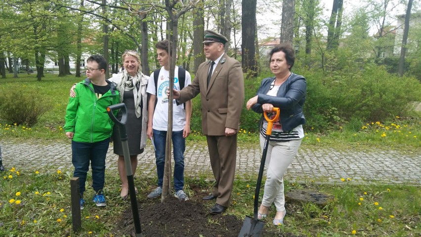 Piknik Po Stronie Natury w Żywcu. Atrakcje na rynku, a w parku sadzenie drzew ZDJĘCIA