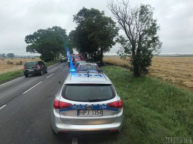 Do tragicznego wypadku doszło na drodze krajowej nr 40 pomiędzy Biedrzychowicami a Starymi Kotkowicami.