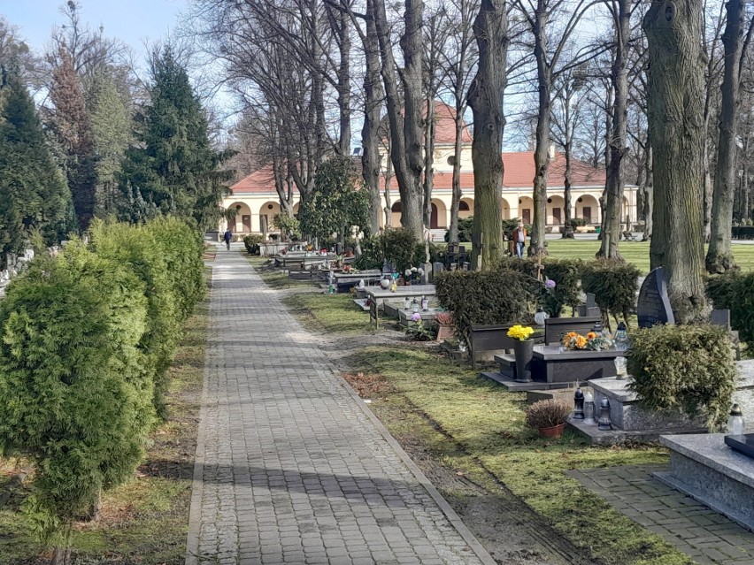 Cmentarz Centralny w Gliwicach - nekropolia wygląda jak...