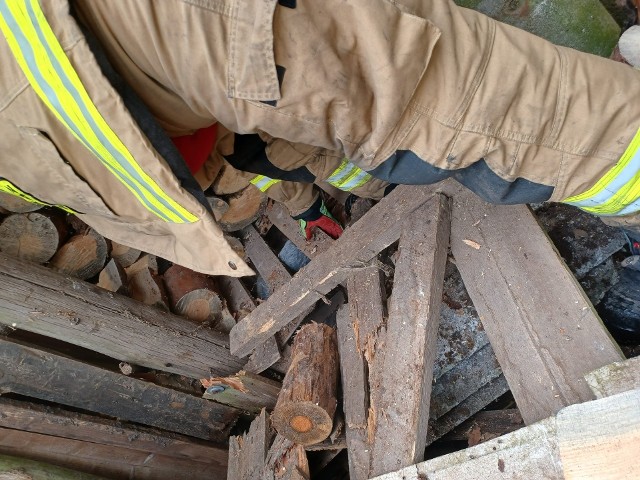 Piesek utknął pod paletą z drzewem. Uwolnili go strażacy z OSP Bogdaniec.