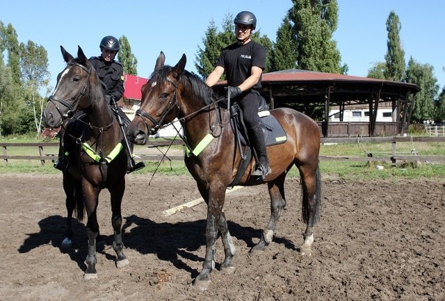 Konna Policja w Szczecinie