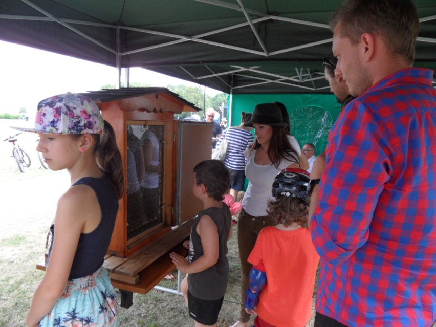 Leśny Piknik Rodzinny Ekoodpowiedzialnie 2015 w Katowicach