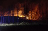 Pożar traw na składowisku niebezpiecznych odpadów w Zgierzu ZDJĘCIA, FILM