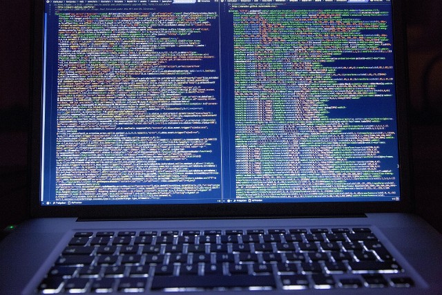 Według policji cyberatak dotknął w weekend kilka serwerów i dużą liczbę komputerów największej organizacji pomocy socjalnej w Górnej Bawarii.