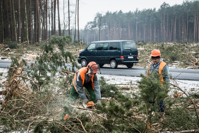 Przygotowania do budowy S5 w woj. kujawsko-pomorskim ruszyły już jakiś czas temu