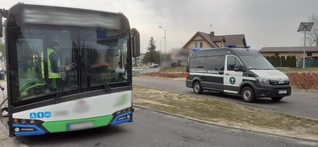 Blisko 30 autobusów miejskich oraz podmiejskich skontrolowali w trakcie wspólnych działań funkcjonariusze Inspekcji Transportu Drogowego i Policji ze Szczecina.