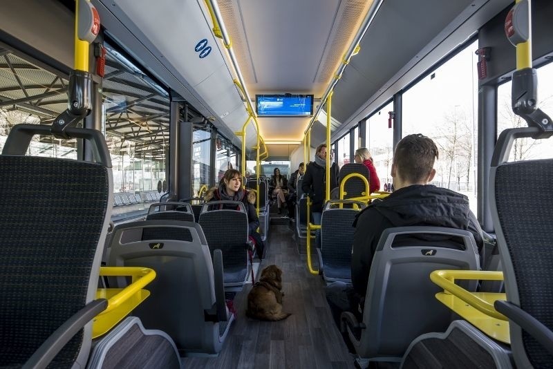 W Starachowicach powstają najładniejsze autobusy na świecie MAN Lion's City